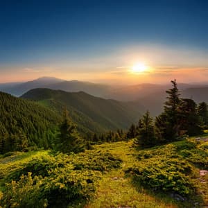 Armonía De Relajación: Música Para Horas De Paz - Sentir buena música de la mañana