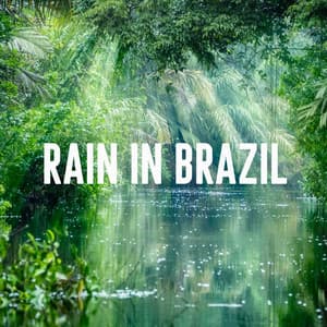 Rain in Brazil - Rain Sounds Lab