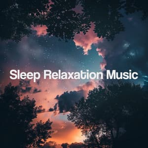 Sleep Relaxation Music - Sleep Music