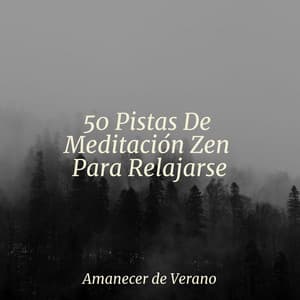 50 Pistas De Meditación Zen Para Relajarse - Smart Baby Lullaby