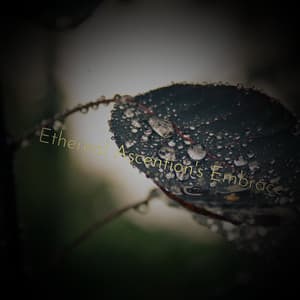 Ethereal Ascention's Embrace - Minds United