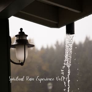 Spiritual Rain Experience Vol. 1 - Music for work