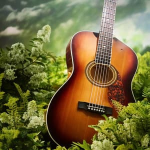 Guitar Moments: Gentle Soundscapes Collection - Guitar Serenade