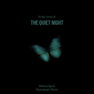 In the Arms of the Quiet Night - Melissa Spirit