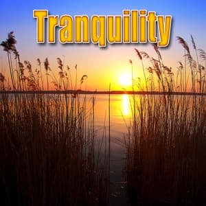 Tranquility - Best Nature Sounds