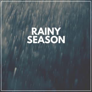 Rainy Season - Meditation Rain Sounds