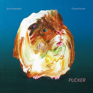 Pucker - Scott Amendola
