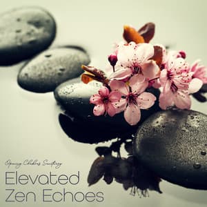 Elevated Zen Echoes - Opening Chakras Sanctuary