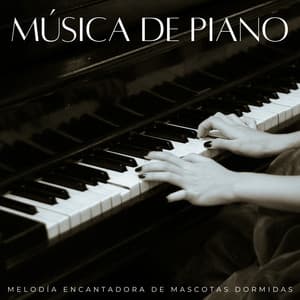 Música De Piano: Melodía Encantadora De Mascotas Dormidas - Piano Relajante