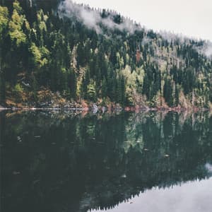 Yoga Guru - Uyku Müzik