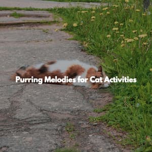 Purring Melodies for Cat Activities - Dinner & Jazz Radio