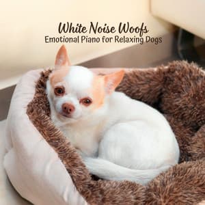 White Noise Woofs: Emotional Piano for Relaxing Dogs - White Noise Healing Method