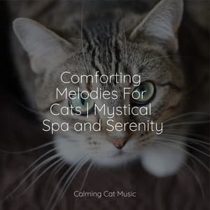 Comforting Melodies For Cats | Mystical Spa and Serenity - Music for Cats Deluxe