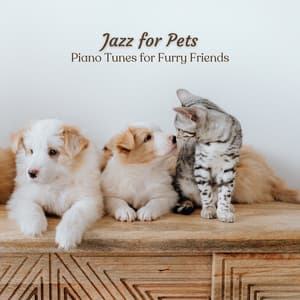 Jazz for Pets: Piano Tunes for Furry Friends - Lounge Bar New York