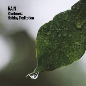 Rain: Rainforest Holiday Meditation - Sounds of Nature Noise