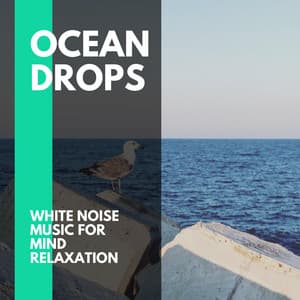 Ocean Drops - White Noise Music for Mind Relaxation - Incredible Oceans