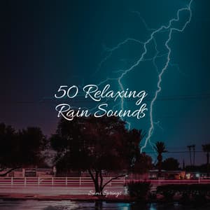 50 Relaxing Rain Sounds - Pro Sound Effects Library