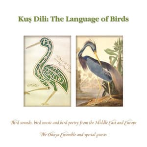 The Language of Birds - DÜNYA