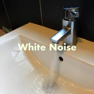 Around the House - White Noise Collectors