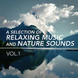A Selection of Relaxing Music and Nature Sounds, Vol. 1 - Nature Sound Collection