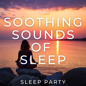 Soothing Sounds for Sleep - Sleep Party
