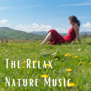 The Relax Nature Music - 101 Nature