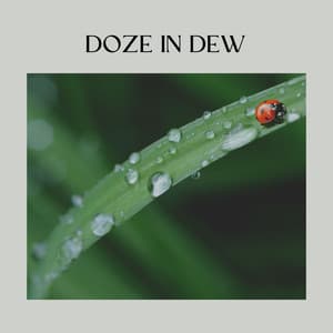 Doze in Dew - Yoga Rain