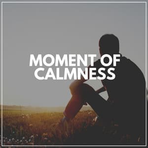 Moment of Calmness - Soothing Sounds