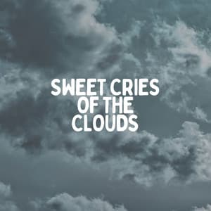 Sweet Cries of the Clouds - Rain Radiance