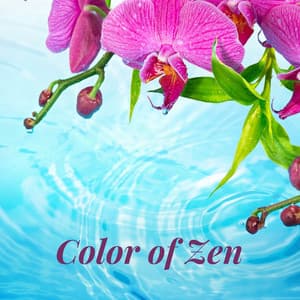 Color of Zen - Rain Makers