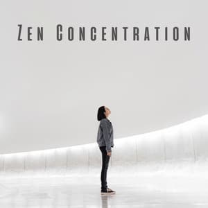 Zen Concentration: Meditative Harmonies for Productivity - Guided Meditation Music Zone