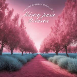 Música para Relaxar: Sons de Natureza para Alívio do Estresse - Musicoterapia New Age