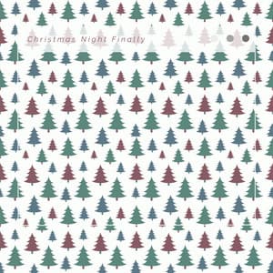 1 Christmas Night Finally - Christmas 2022 Hits