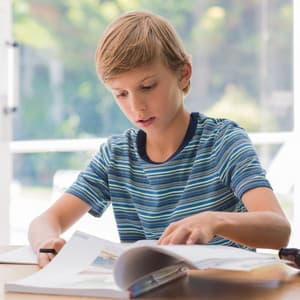 Tranquil Study Curiosity: Fire's Binaural Sounds for Knowledge Absorption - Ultimate Fire Experience