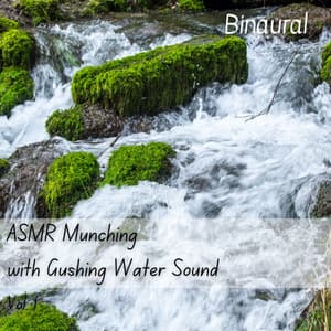 Binaural: ASMR Munching with Gushing Water Sound Vol. 1 - Slow Sex Music