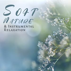 Soft Nature & Instrumental Relaxation - Serenity Nature Sounds Academy