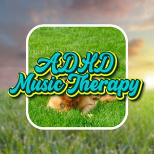 ADHD Focus Concentration Lofi - ADHD Music Therapy