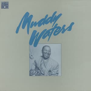 The Chess Box - Muddy Waters