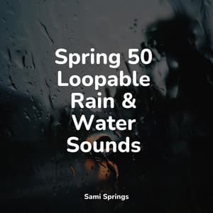 Spring 50 Loopable Rain & Water Sounds - Sons da Natureza & Relaxamento