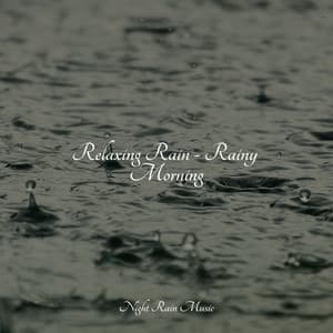 Relaxing Rain - Rainy Morning - Relaxing Sounds Of Nature