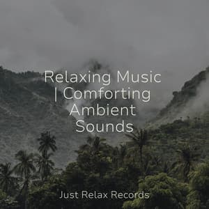 Relaxing Music | Comforting Ambient Sounds - Relaxing Mindfulness Meditation Relaxation Maestro