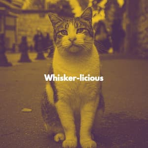 Whisker-licious - Calming Cat Music