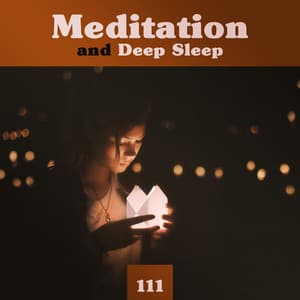 Meditation and Deep Sleep - Deep Sleep Group