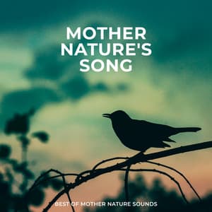 Mother Nature's Song - Best of Mother Nature Sounds