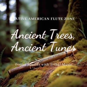 Ancient Trees, Ancient Tunes: Forest Sounds with Tribal Music - Native American Flute Zone