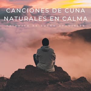 Paisajes De Sueño Apacibles: Canciones De Cuna Naturales En Calma - Sueños Triplete