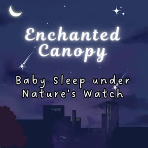 Enchanted Canopy: Baby Sleep under Nature’s Watch - Sleeping Baby Music