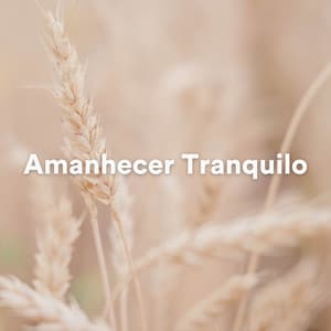 Amanhecer Tranquilo - Musicoterapia de Lluvia
