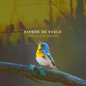 Patrón de Vuelo - Naturaleza Sonidos