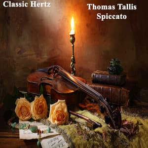 Thomas Tallis Spiccato - Thomas Tallis